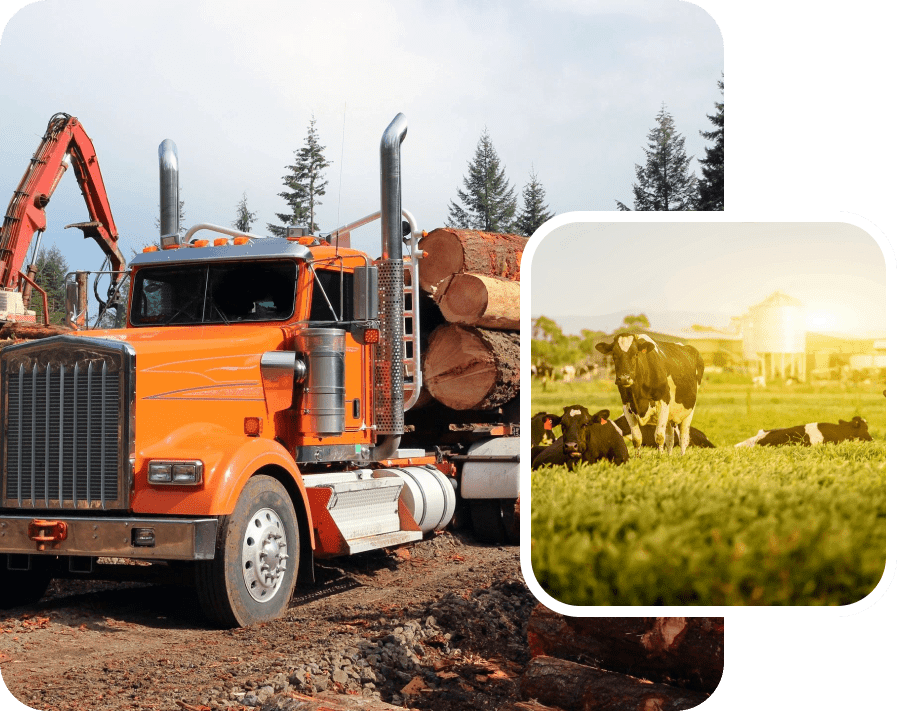 Truck hauling logs; cows in field inset.